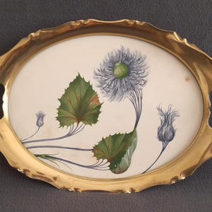 Austrian Art Nouveau Brass and Porcelain Tea Tray with Central Floral Motifs