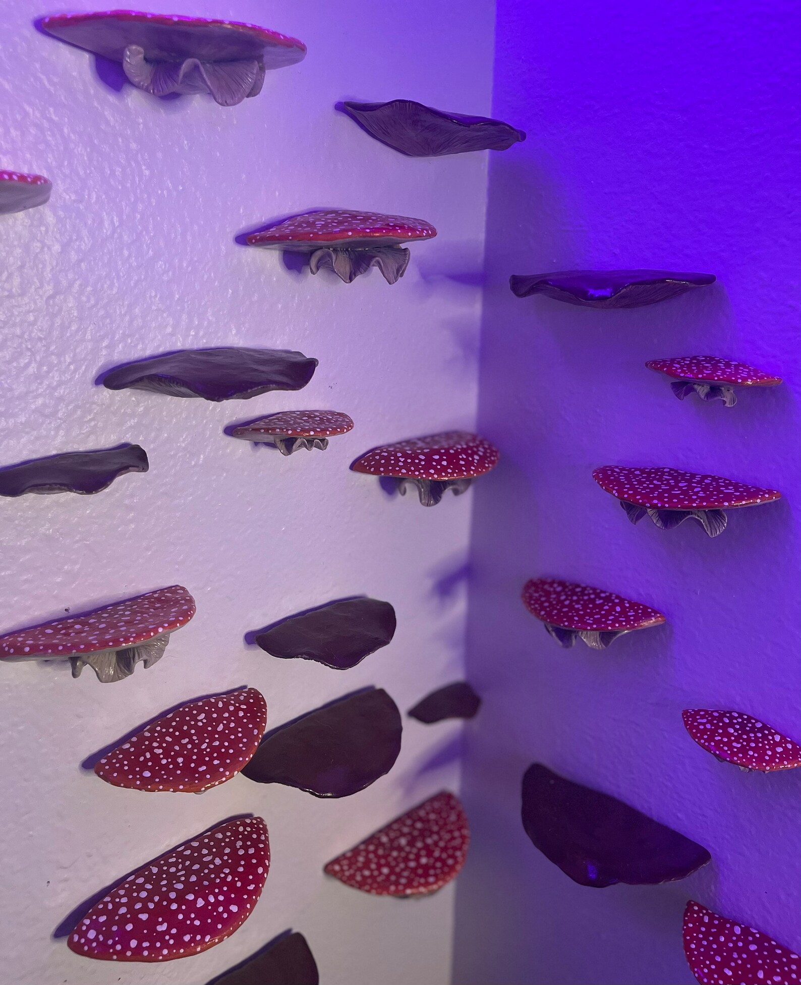 Handcrafted Floating Mushroom Shelf Decor Display Etsy