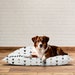 see more listings in the Pet Bed Covers section