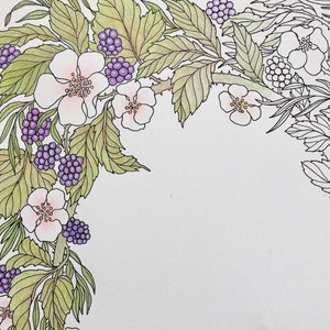 Blackberry Border coloring page, 8.5x11” downloadable adult coloring page, printable colouring sheet