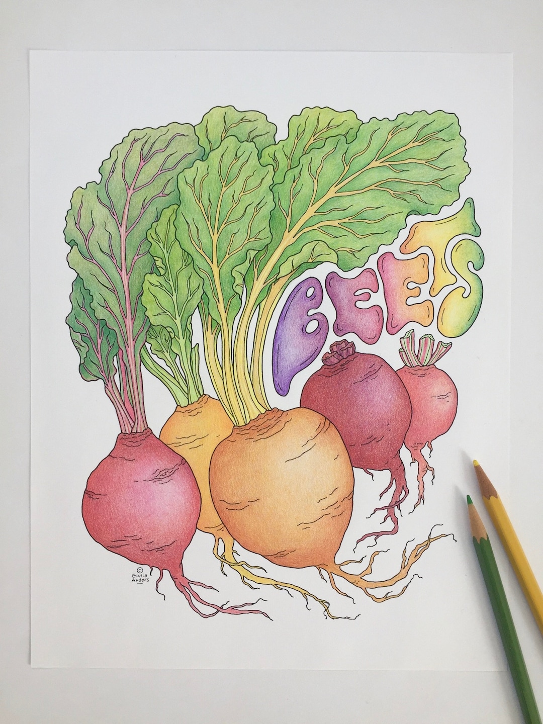 BEETS Coloring Page, PDF, 8.5x11, A4, Printable Downloadable Adult