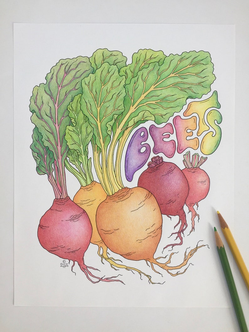 BEETS Coloring Page, PDF, 8.5x11, A4, Printable Downloadable Adult Coloring Page, Vegetable