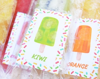 Popsicle Flavor Labels PRINTABLE, Ice Pop Flavor Label Tag, Popsicle Flavor Tag, Summer Pool Party Food Label, Instant Digital Download