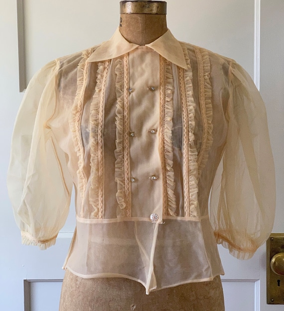 Vintage 1950s Sheer Nylon Blouse/Vintage Blush Pea