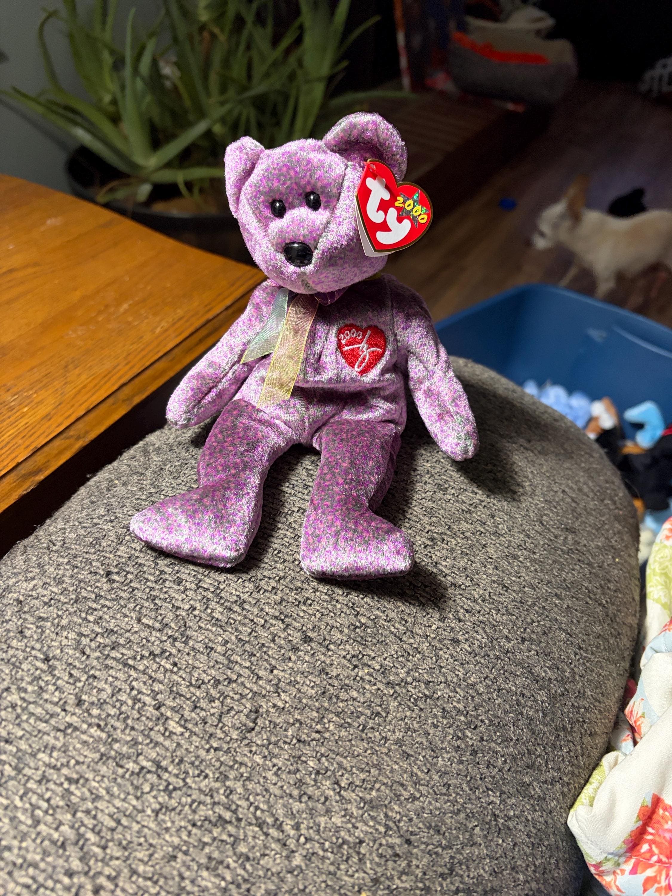 Year 2000 Teddy Bear - Etsy