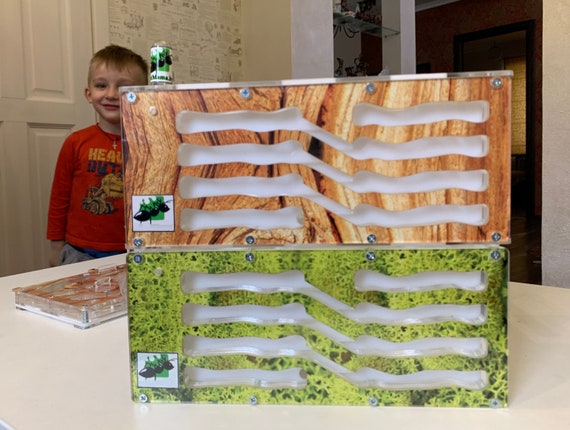 Vertical Formicarium Large Ant Farm for 1000 Ants Ant Farm With Built-in  Arena Ants House Formicaria Ameisenfarm Insect House - Etsy Finland