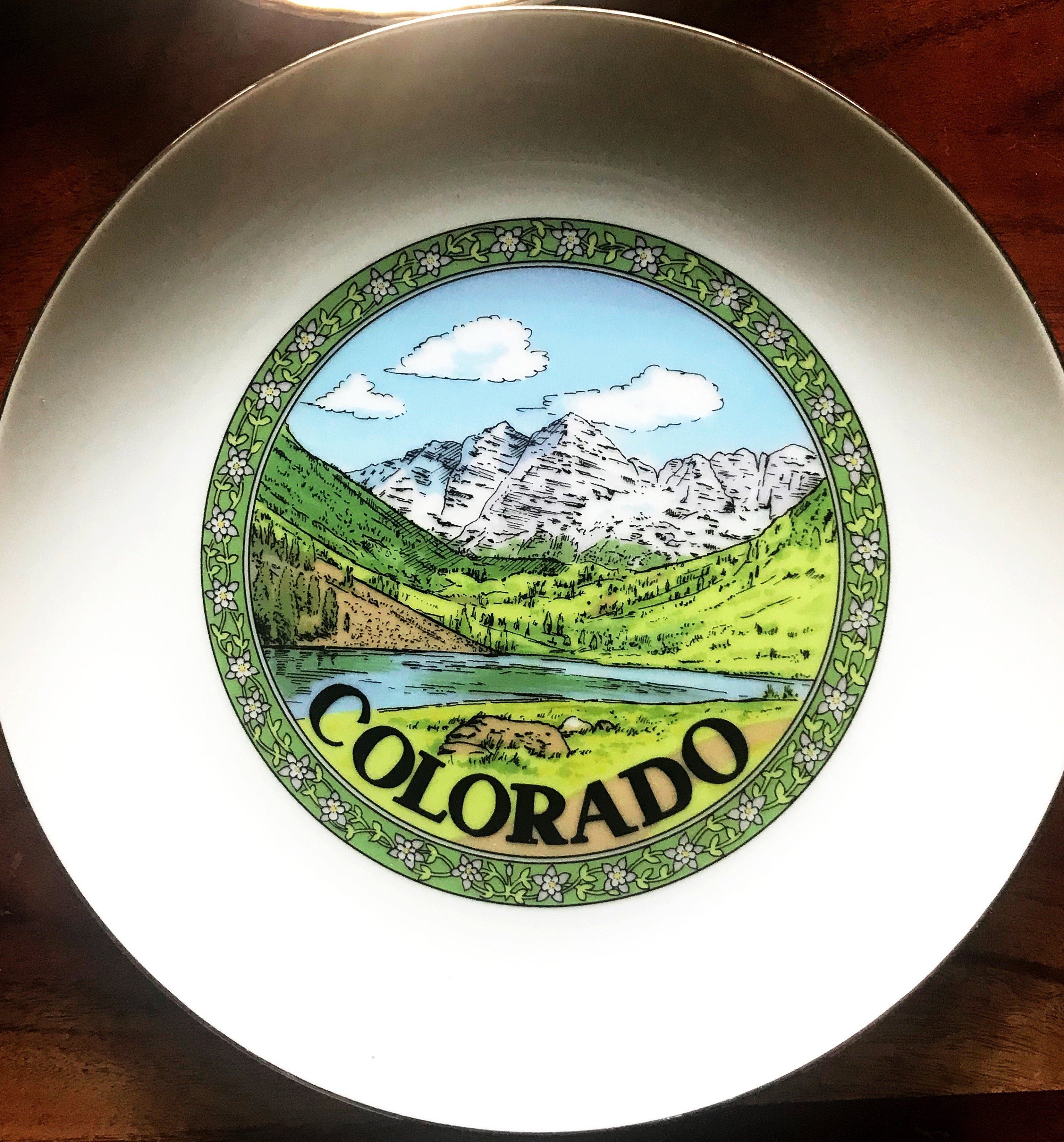 Vintage State Souvenir PlatesState PlatesWall Etsy