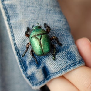 Glückskäfer Pin: Handgefertigte Käfer Brosche