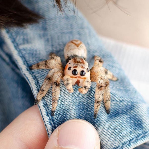 Broche original de araña saltarina: broche realista de porcelana fría (2,5 cm)