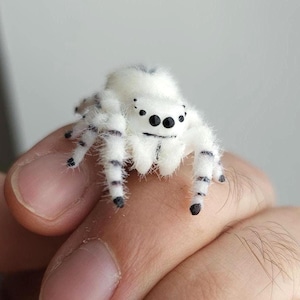 Puede incluir: Una pequeña figura de araña blanca y peluda con puntos y rayas negras en las patas. La araña tiene ocho ojos negros distintos dispuestos en una fila a través de la cara y una superficie suave y texturizada que imita una fina piel blanca.