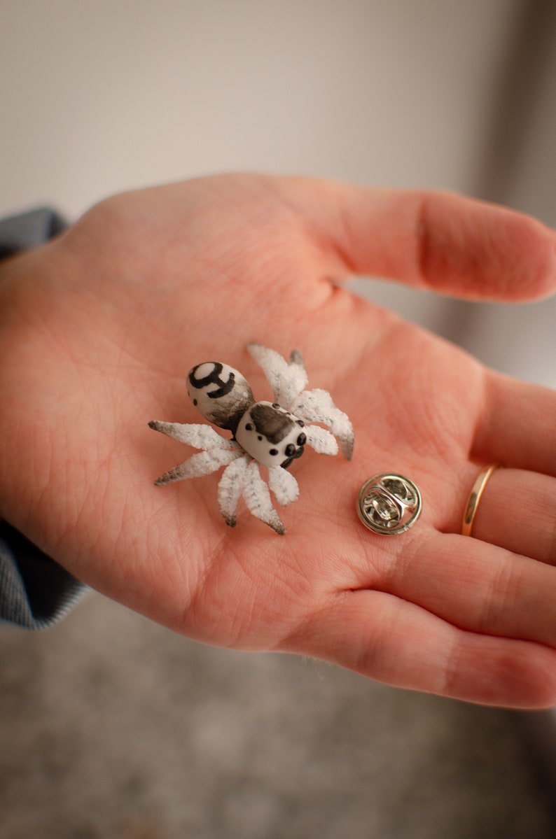 Cute spider pin, jumping spider brooch, realistic figurine, miniature poseable ornament, creepy gift, cute kawaii monster, made to order zdjęcie 9