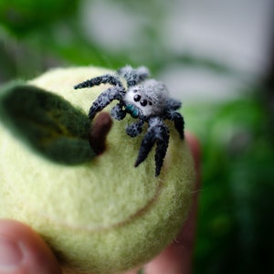 Cute jumping spider realistic figurine, miniature poseable toy, creepy gift, regal spider arachnida, cute kawaii monster, made to order