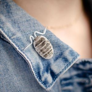 Realistic Woodlouse Pin: Handmade Cold Porcelain Isopod Brooch