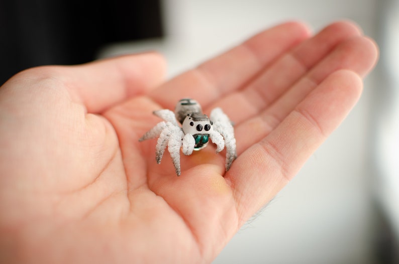 Cute spider pin, jumping spider brooch, realistic figurine, miniature poseable ornament, creepy gift, cute kawaii monster, made to order imagen 5