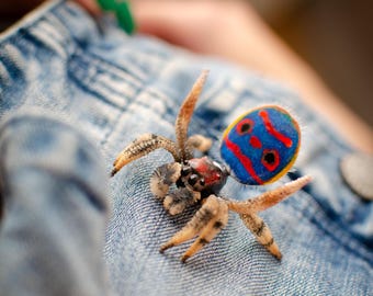 Peacock spider pin, maratus spider brooch, realistic figurine, miniature poseable ornament, creepy gift, cute kawaii monster, made to order