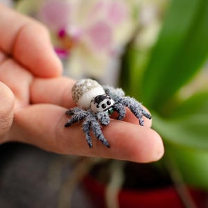 Realistic Jumping Spider Figurine: Handmade Cold Porcelain Sculpture