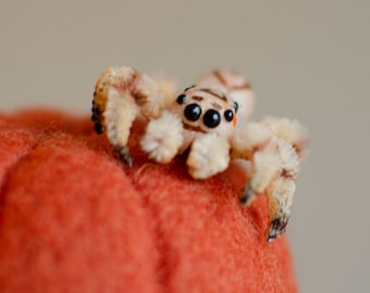 Tiny jumping spider realistic figurine, miniature poseable doll, creepy gift, regal spider arachnida, cute kawaii monster, made to order