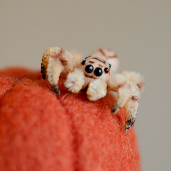 Tiny jumping spider realistic figurine, miniature poseable doll, creepy gift, regal spider arachnida, cute kawaii monster, made to order
