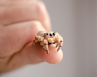Baby jumping spider realistic figurine, miniature poseable toy, creepy gift, regal spider arachnida, cute kawaii monster, made to order
