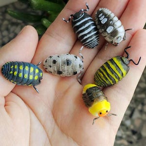Realistic isopod pin 6 breeds of your choice and custom color isopod