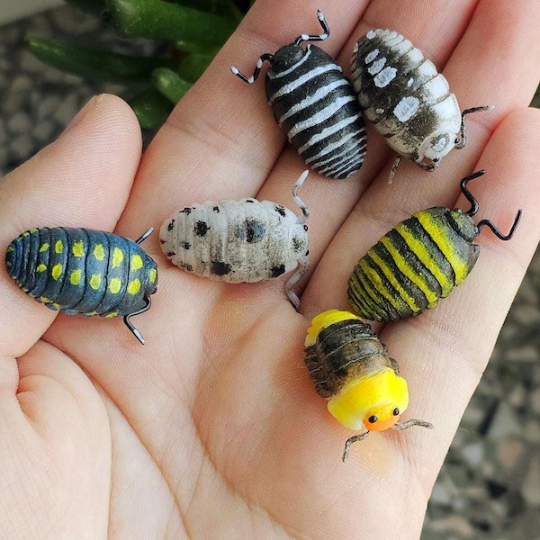 Pin de isópodo realista de 6 razas a elegir y color personalizado.