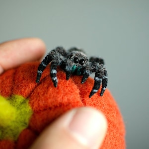 Poseable Jumping Spider Figurine: Miniature Cold Porcelain Sculpture