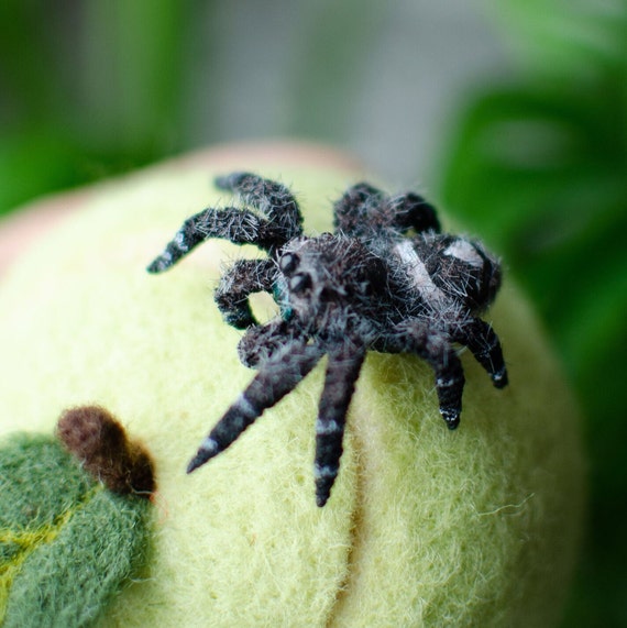 Black Jumping Spider Realistic Figurine Miniature Poseable Toy Creepy Gift Regal Spider Arachnida Cute Kawaii Monster Made to Order Etsy UK