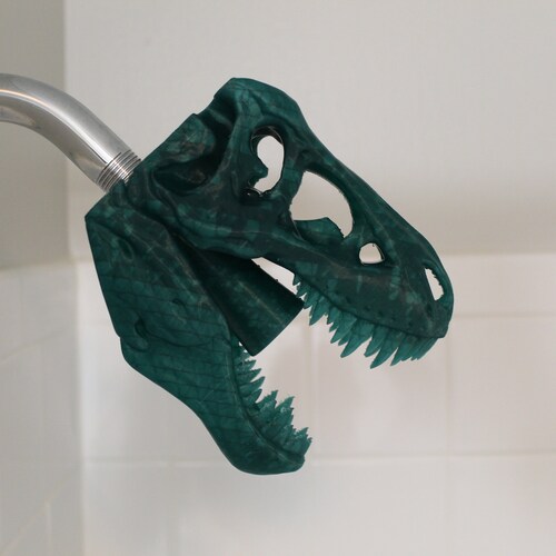 T Rex Shower Curtain Dinosaur Shadow Design Dinosaur Hiding Etsy