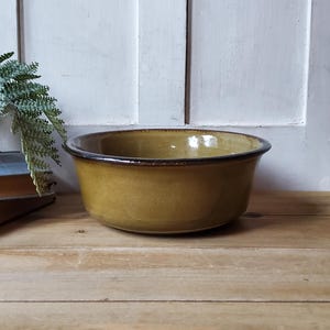 May include: A round, mustard-yellow ceramic bowl with a dark brown rim. The bowl sits on a wooden surface, with a white-painted wooden door in the background. A small potted plant is visible to the left.