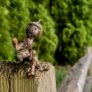 Acorn People