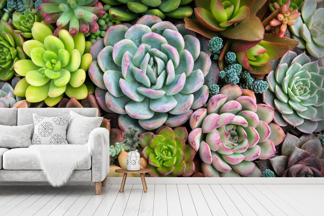 3D Cactus Flower Wallpaper Mural Peel and Stick Wallpaper - Etsy