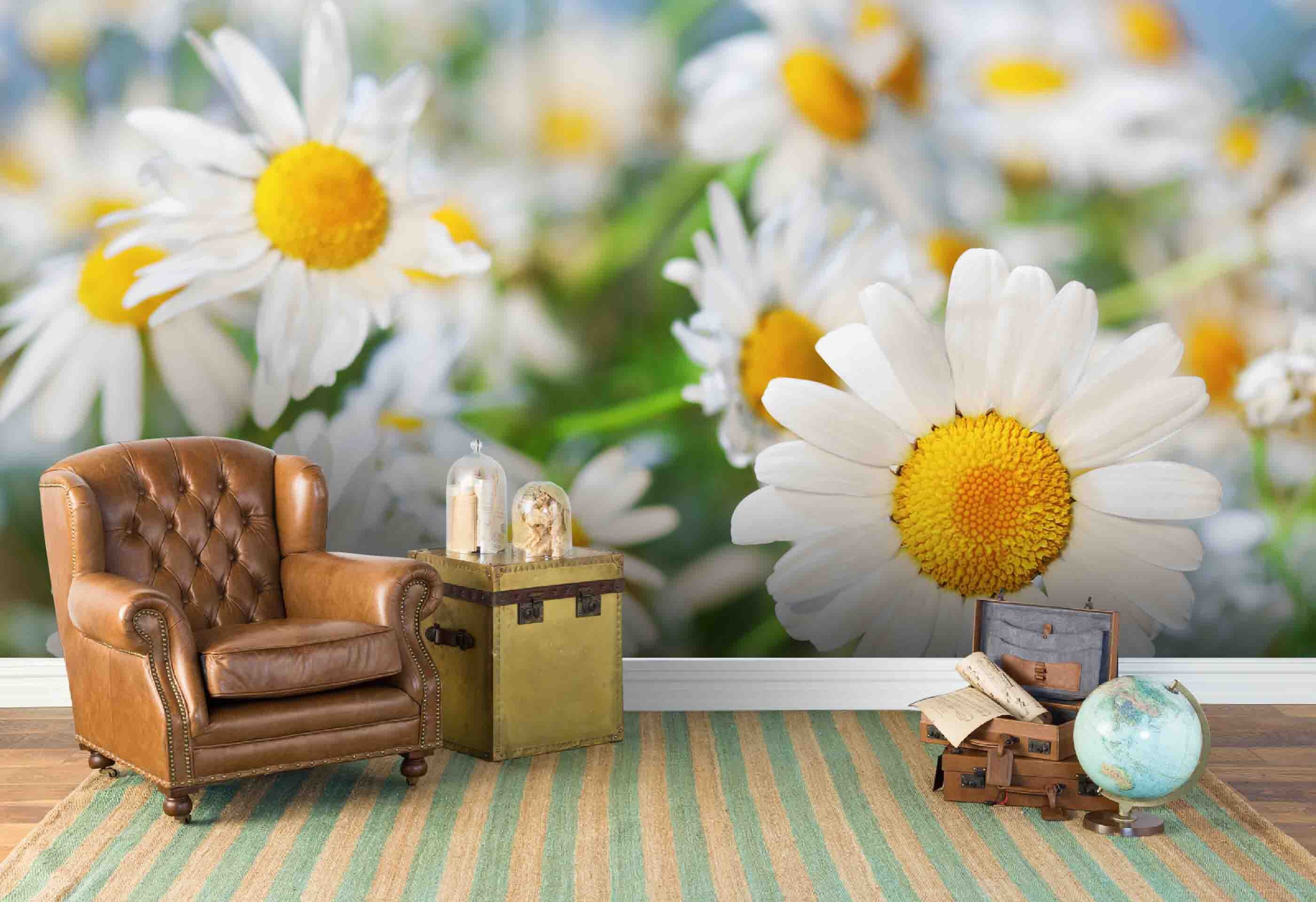 3D White Daisy Floral Wallpaper Mural Peel and Stick Wallpaper - Etsy