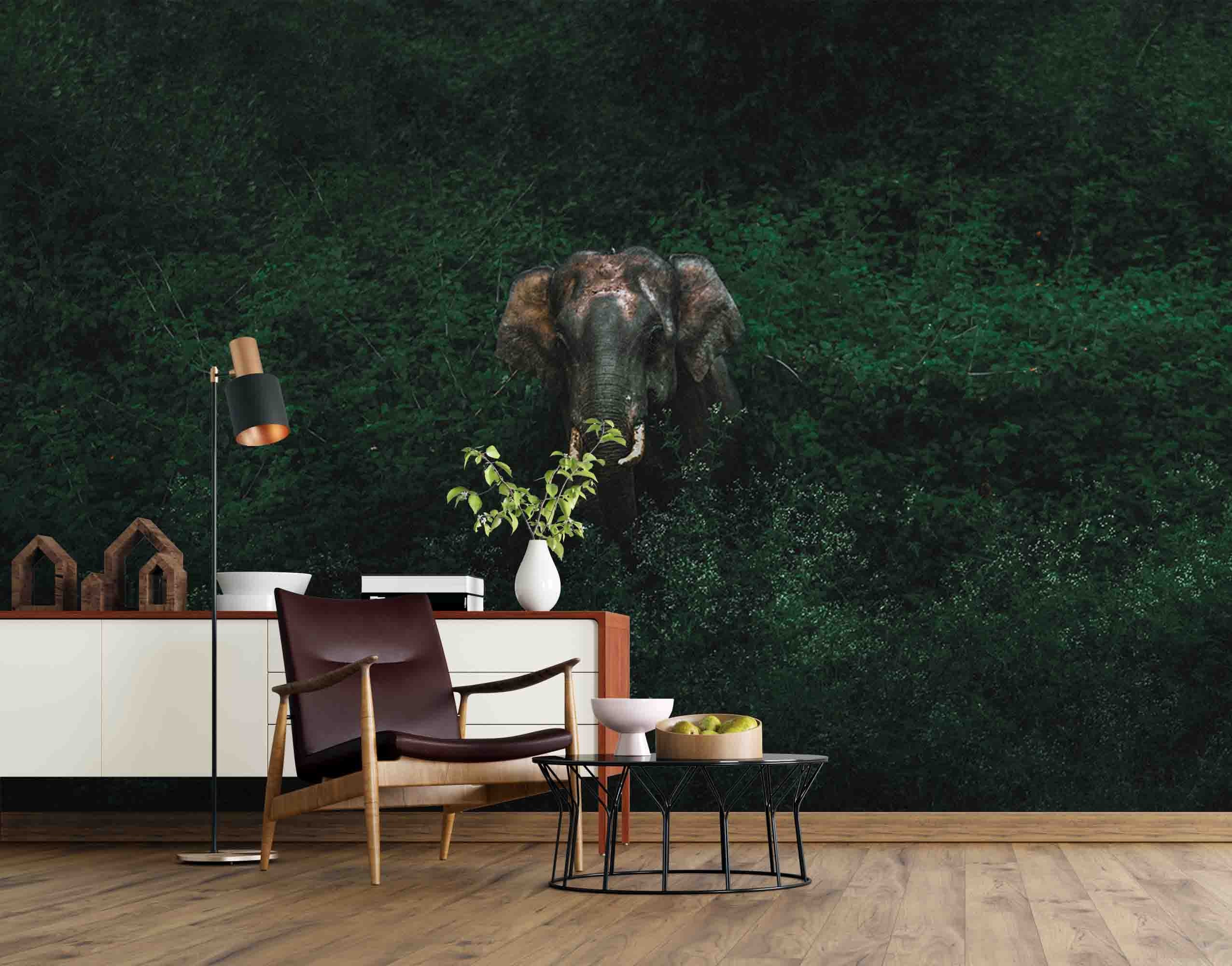 3D Dark Elephant Wallpaper Mural Peel and Stick Wallpaper | Etsy