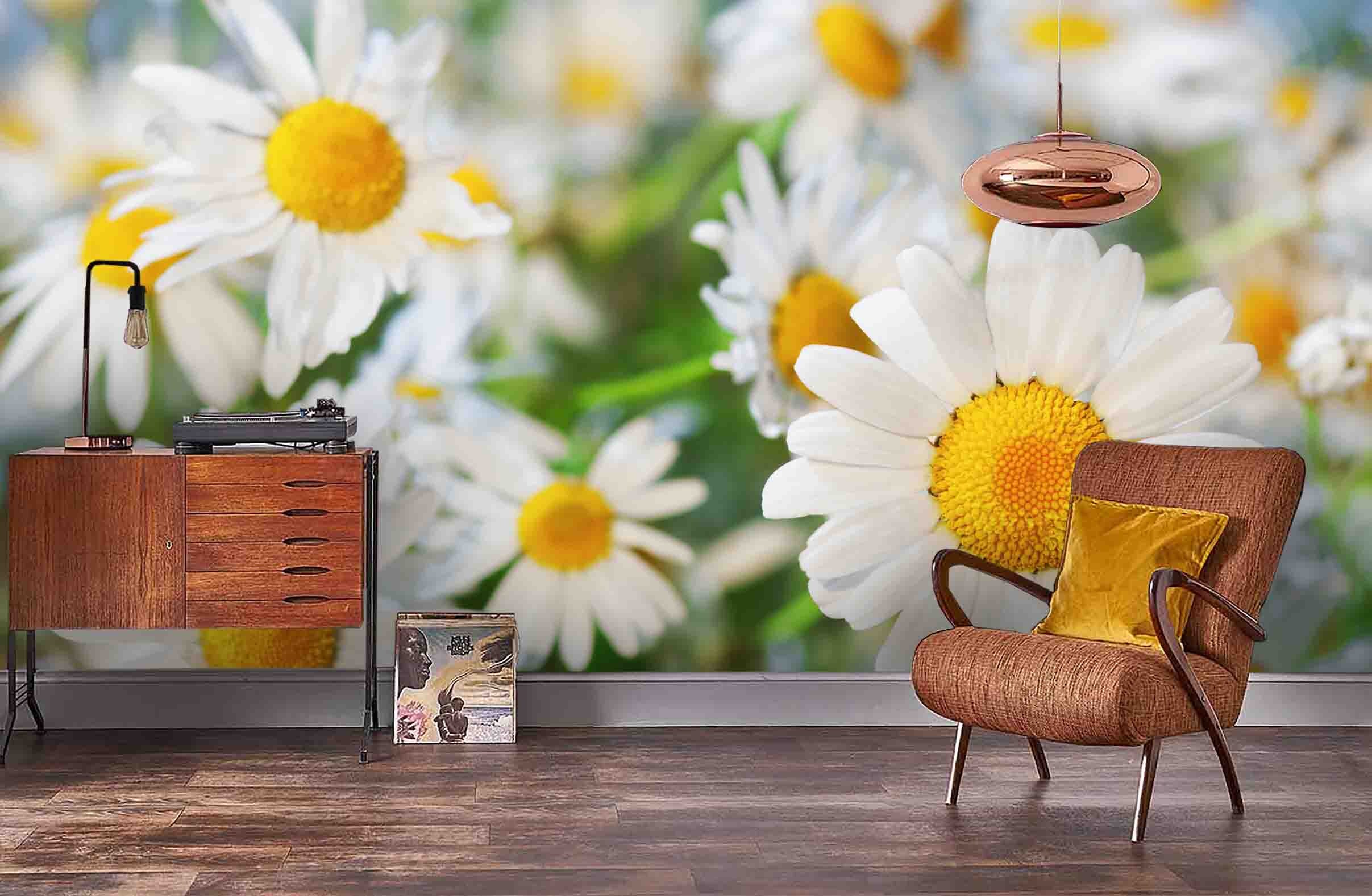 3D White Daisy Floral Wallpaper Mural Peel and Stick Wallpaper - Etsy