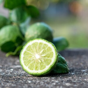 Closeup of Sicilian bergamot representing scent in phthalate free, premium grade Exotic Oud Wood Fragrance Oil for soap and candle making