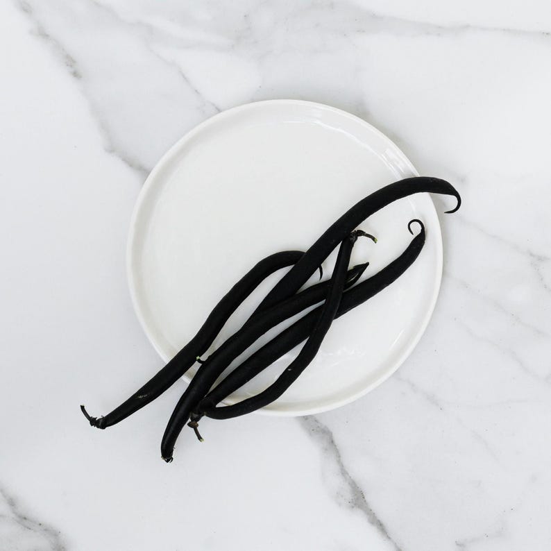 Dried vanilla pods representing scent in premium grade, phthalate-free Exotic Oud Wood Fragrance Oil in soap and candle making