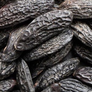 Dried tonka beans representing scent in phthalate free, premium grade Exotic Oud Wood Fragrance Oil for soap and candle making