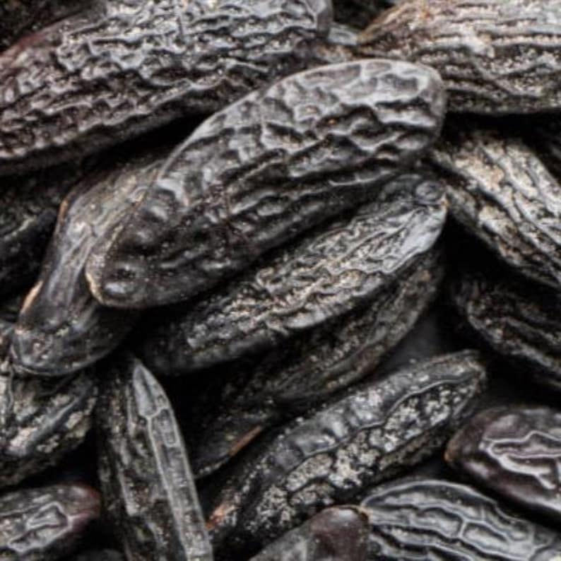 Dried tonka beans representing scent in phthalate free, premium grade Exotic Oud Wood Fragrance Oil for soap and candle making