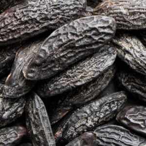 Closeup of Tonka bean representing scent in phthalate free, premium grade Exotic Oud Wood Fragrance Oil for soap and candle making