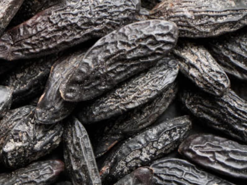 Closeup of Tonka bean representing scent in phthalate free, premium grade Exotic Oud Wood Fragrance Oil for soap and candle making