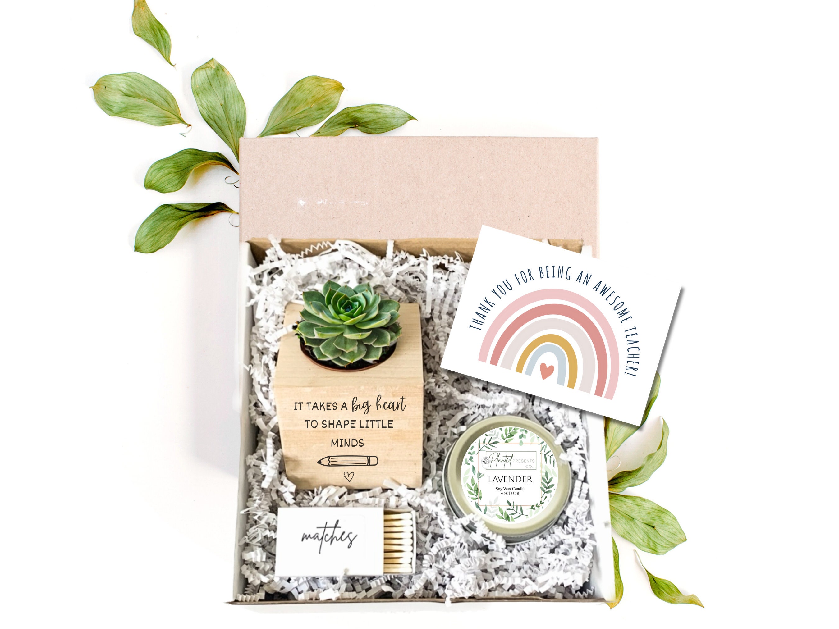 Teacher Appreciation Gift Preschool Teacher Gift Plant Set - Etsy