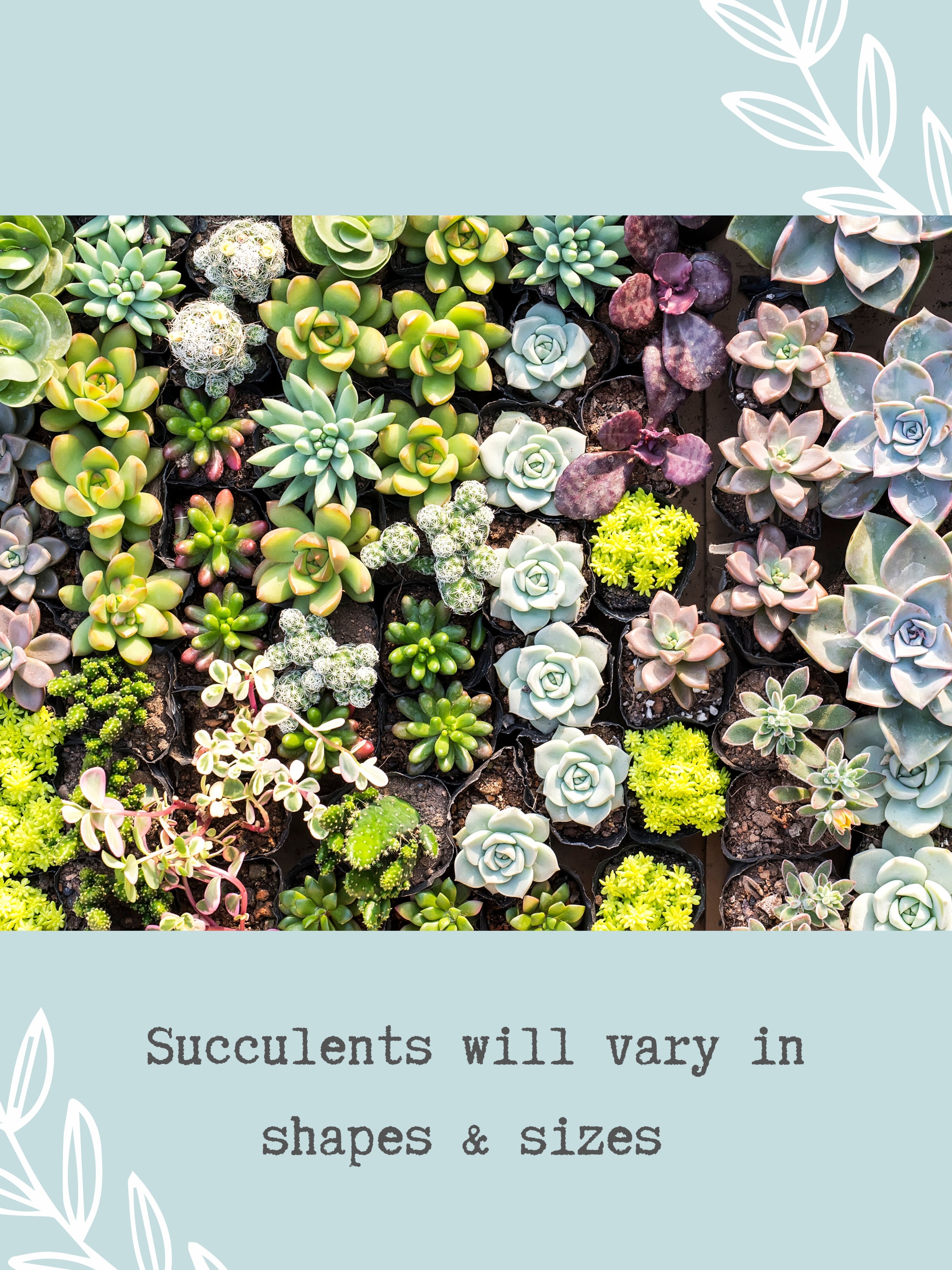 New Job Gift, Congrats Gift, Way to Grow, Job Promotion Gift, Co-worker ...