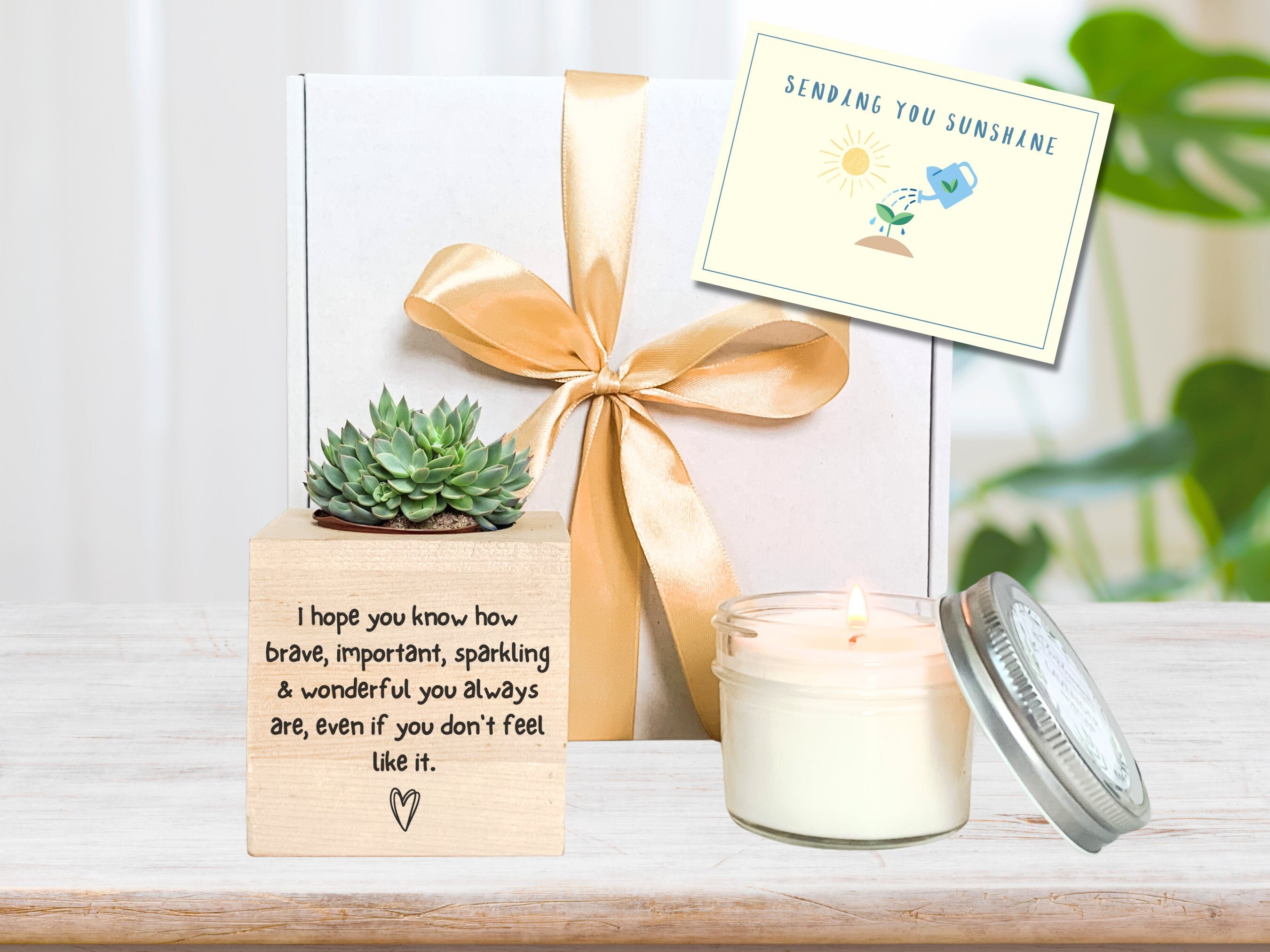 Thinking of You Succulent Gift Box Missing You Friendship Gift Box