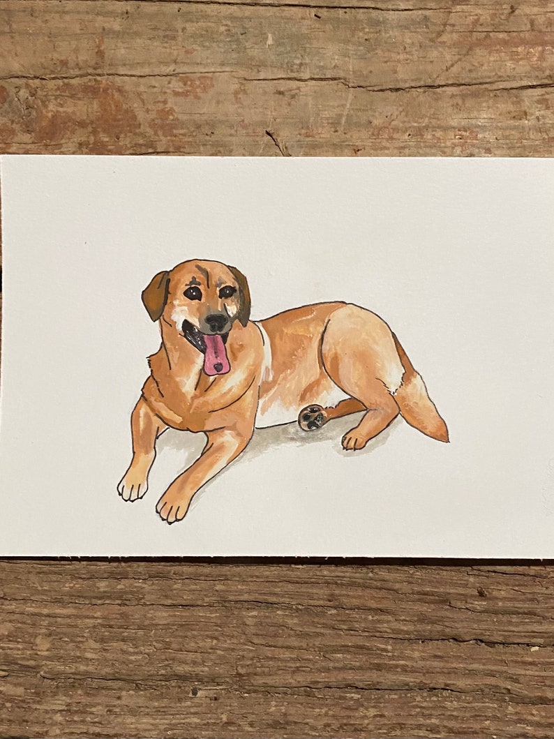 Custom Pet Portrait 5x7