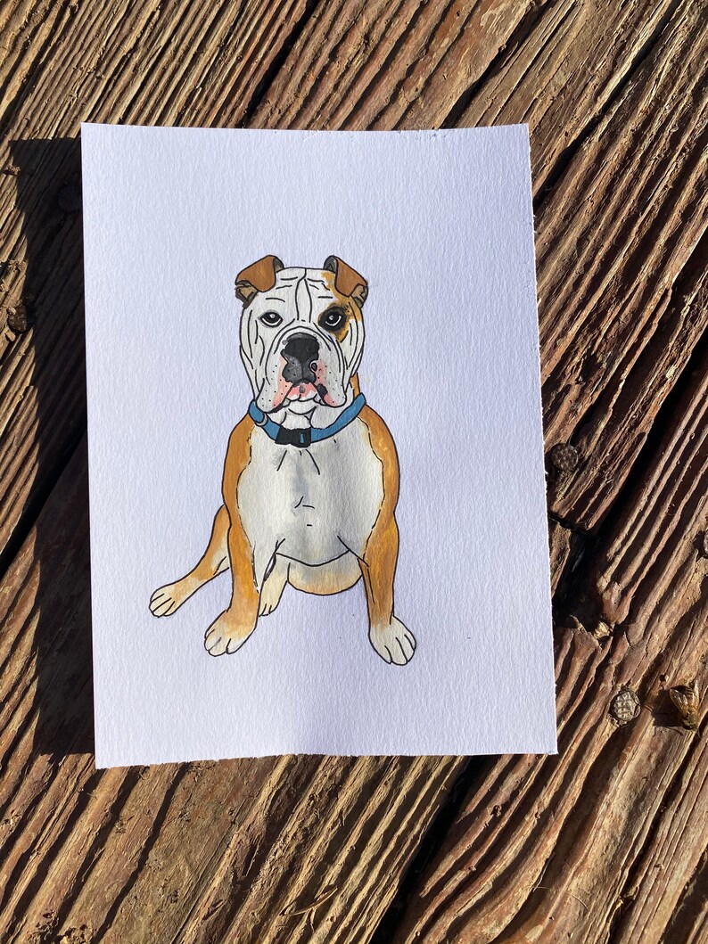 Custom Pet Portrait 5x7