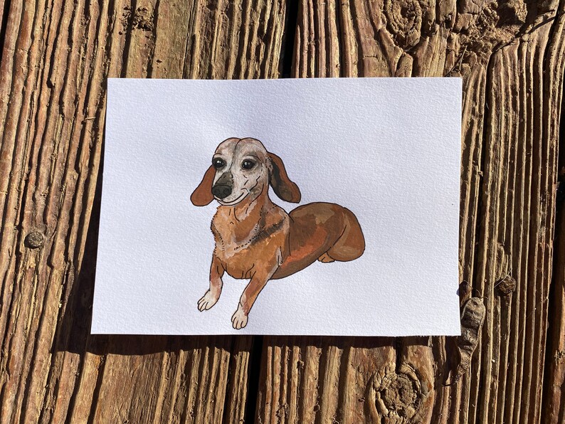 Custom Pet Portrait 5x7