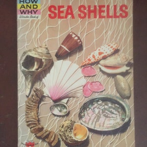 The How and Why Wonder Book of Seashells