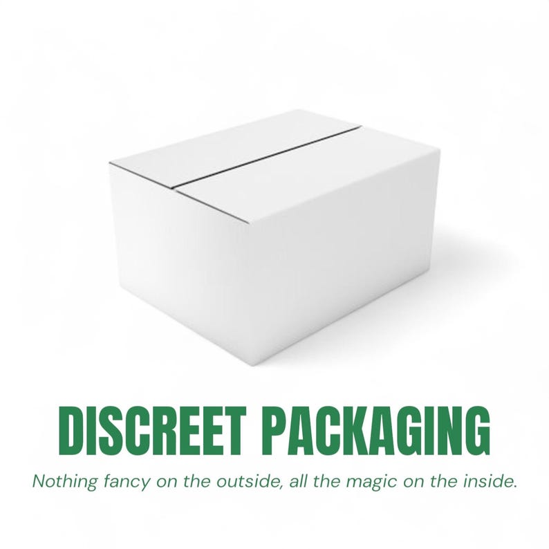 24 Day Elf Kit 2025, Christmas Elf Activities, Pre-Planned Scenes image 12