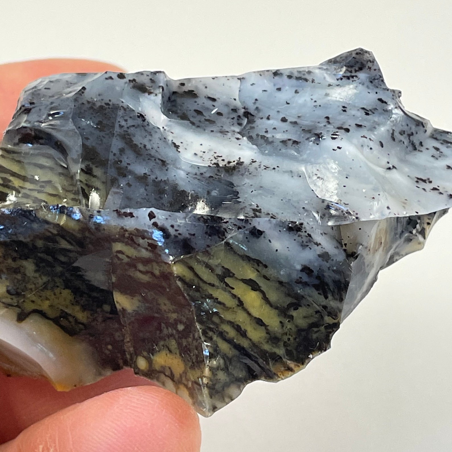 Dendritic Opal eastern Washington natural science outdoor Etsy