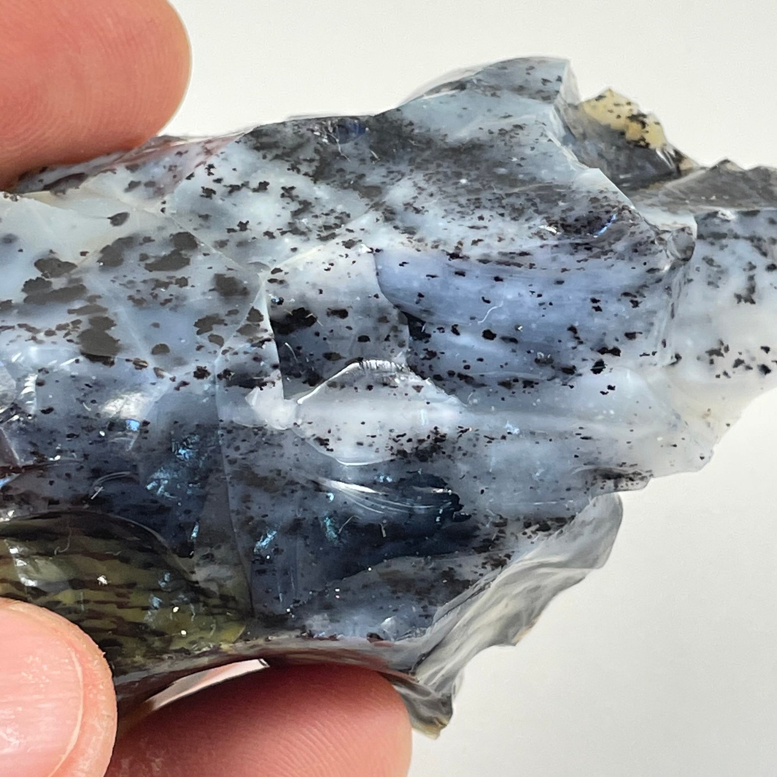 Dendritic Opal eastern Washington natural science outdoor | Etsy